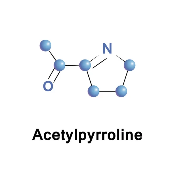 Acetyl pyrroline  aroma — Stock Vector