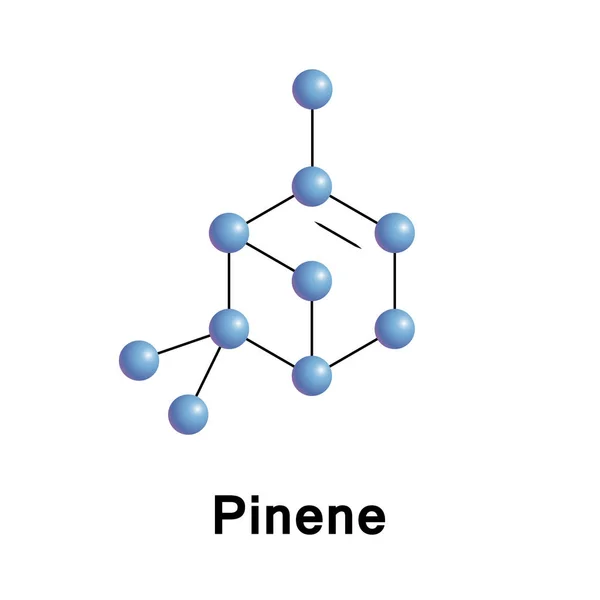 Pineen is een bicyclische monoterpene — Stockvector