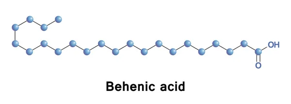 Behenové nebo dokosanové kyselina — Stockový vektor