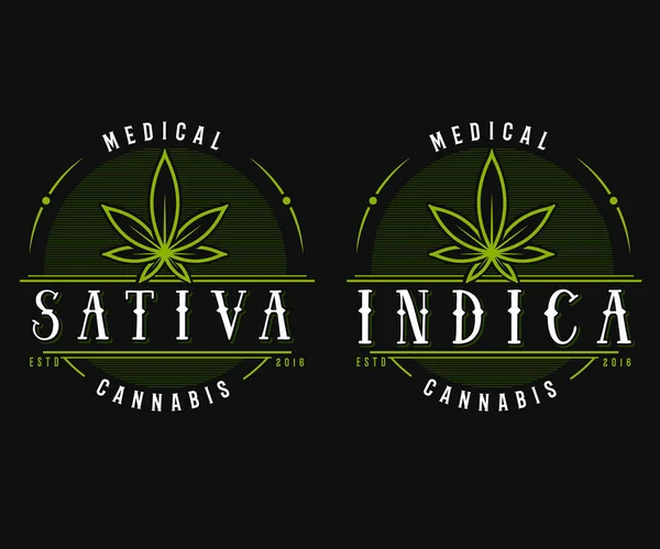 Conjunto de maconha medicinal modelo logotipo cannabis — Vetor de Stock