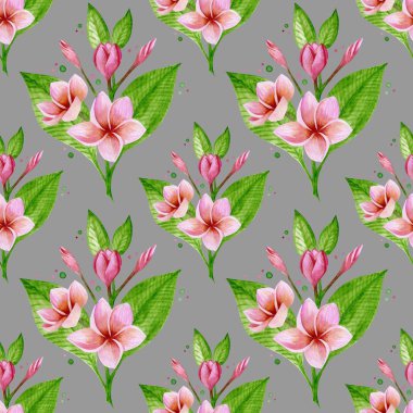 Pembe Plumeria ile Desen