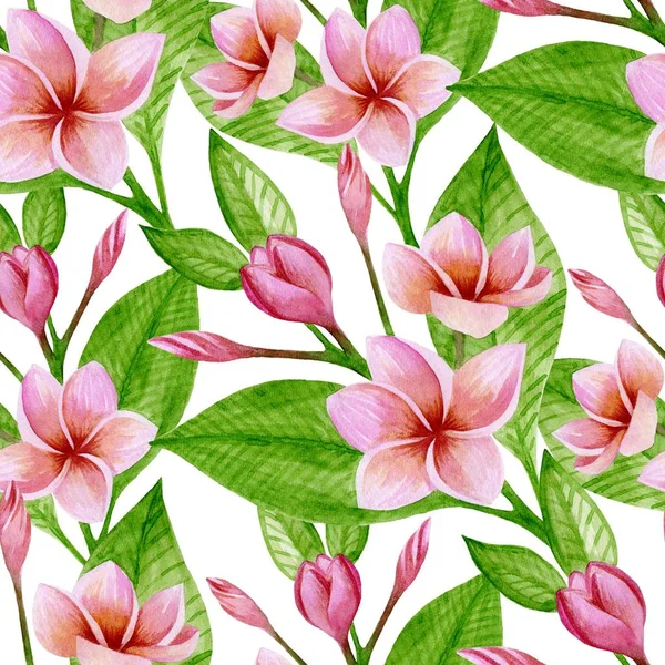 Muster mit rosa Plumeria — Stockfoto