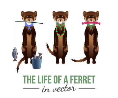 FERRETS WITH THEIR TOYS clipart