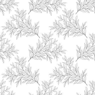 Ruskus 'un Dalları Vektörde Beyaz Kusursuz Arkaplan