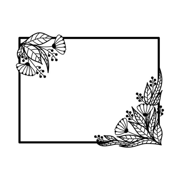 Enquadramento Rectangular Das Flores Vinhas Fundo Branco Vector — Vetor de Stock