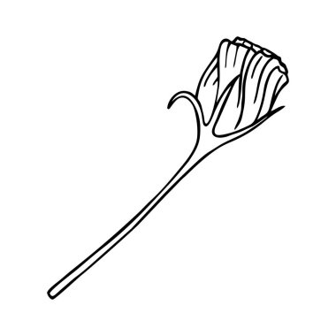 VECTOR 'DA BİR BEYAZ Zemininde ÖSTÜM KURUYOR