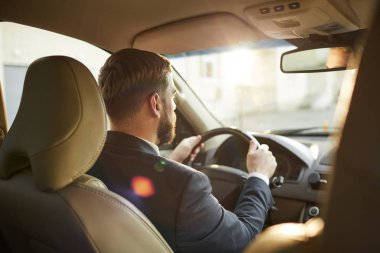 Rear view of young bearded man holding wheel and looking through the windshield and driving