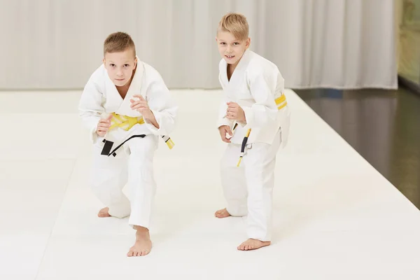 Portret Van Twee Jongens Kimono Die Naar Camera Kijken Karate — Stockfoto