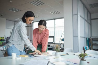 Young businesswomen working in team