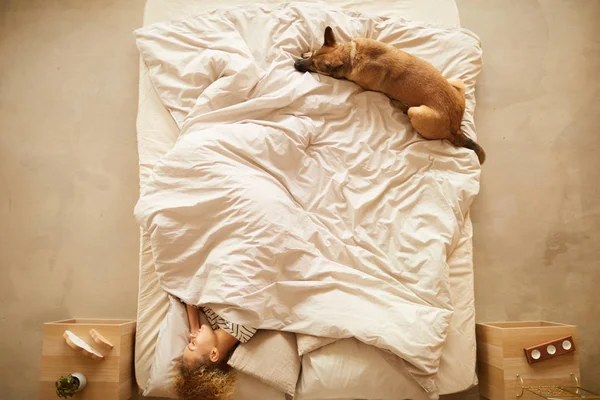 Woman and dog sleeping in bed — Zdjęcie stockowe