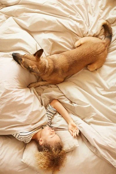 Woman sleeping with her dog — Stockfoto