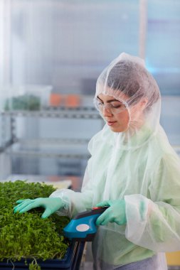 kadın bitkiler için caring