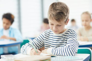 Caucasian Schoolboy Completing Task