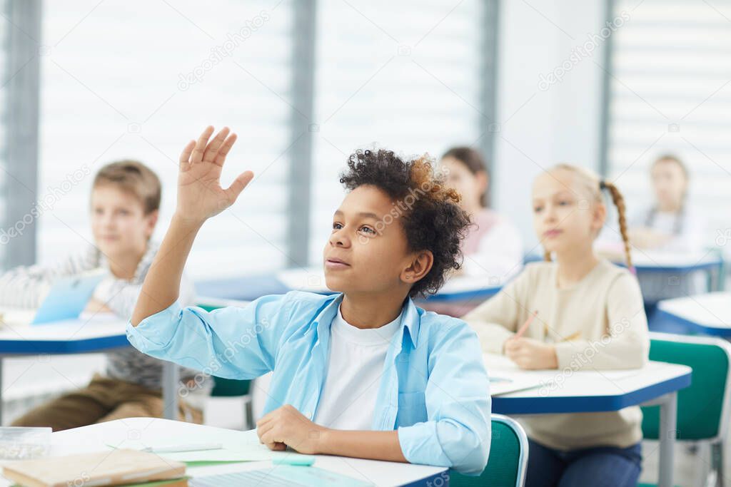 Student Raising Hand In Class