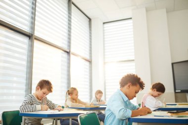 Young Students Having Lesson