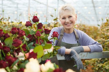 Happy gardener with roses