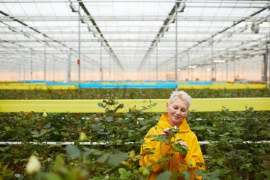 Çiçekleri önemseyen kadın