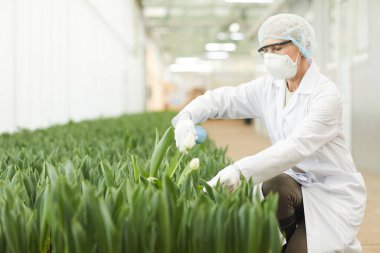 Woman handling flowers