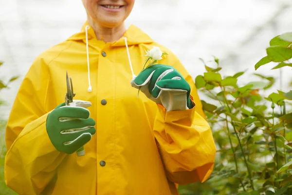 Gardener with little flower — Stockfoto