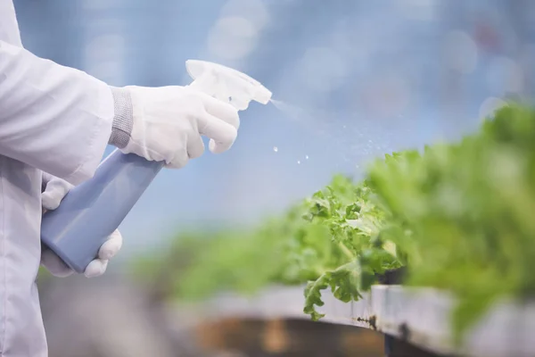 Botanist watering plants — Zdjęcie stockowe