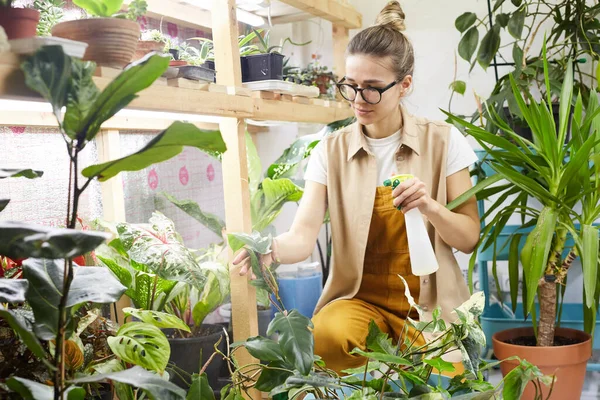 Schoonmaakbedrijven voor vrouwen van stof — Stockfoto