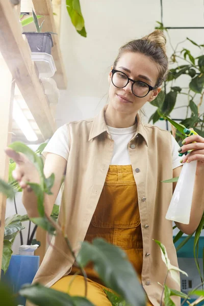 Bloemist zorg over de bloemen — Stockfoto