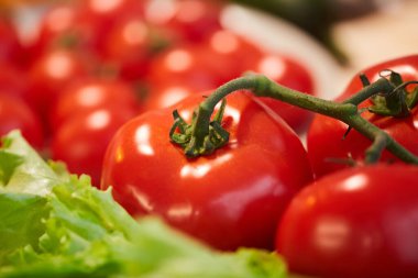 Taze olgun domatesler