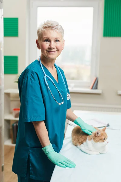 Infirmière avec chat en clinique — Photo