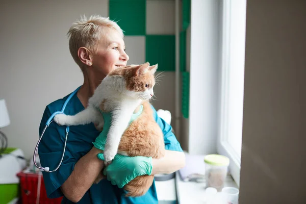 Vétérinaire heureux médecin avec chat — Photo