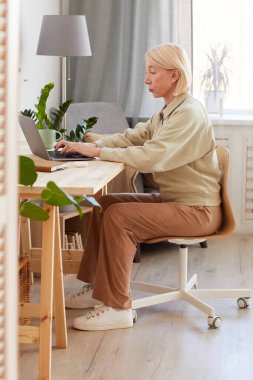 Dizüstü bilgisayarda çalışan kadın