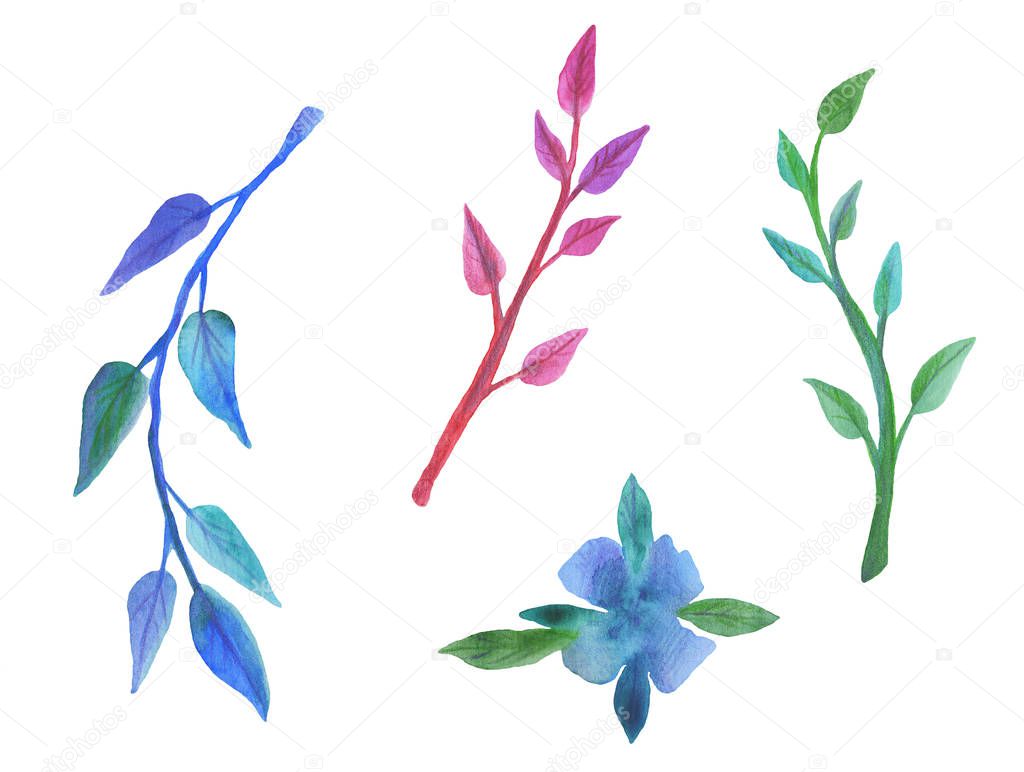 Set of watercolor colored leaves and flowers.