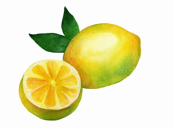 Obrázek Žlutých Citronů Listy — Stock fotografie