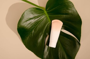 Bej tüp, makyaj malzemesi kremi ve bej arka planda yeşil yaprak. Tasarımınız için minimalist fotoğraf