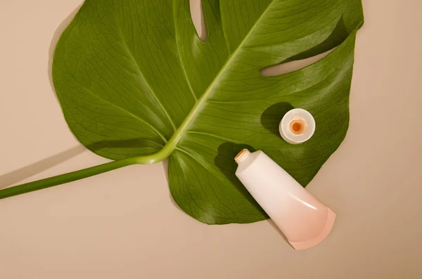 Beige tube with makeup foundation cream and green leaf of home plant on beige background. Minimalistic photograph for your design