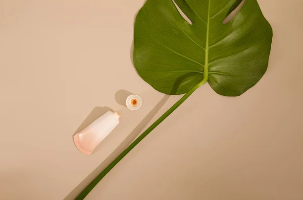Beige tube with makeup foundation cream and green leaf of home plant on beige background. Minimalistic photograph for your design