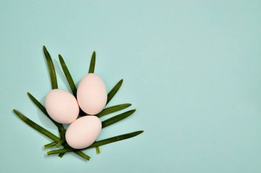White eggs with green myrtle leaves pattern on mint color background. Spring and Easter holiday concept with copy space.