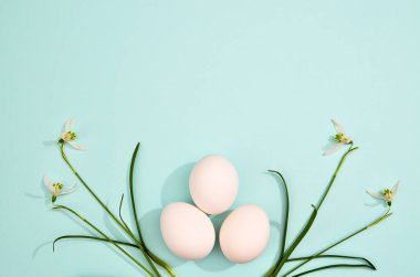 White eggs with green myrtle leaves pattern on mint color background. Spring and Easter holiday concept with copy space.