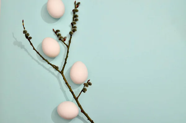 파스텔 색깔의 버드나무 패턴을 분홍색 배경에 달걀을칠 했습니다 부활절 — 스톡 사진