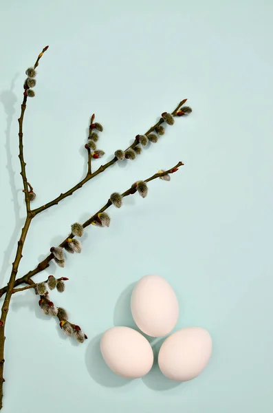 Uova Bianche Con Motivo Rami Salice Colore Pastello Azzurro Menta — Foto Stock