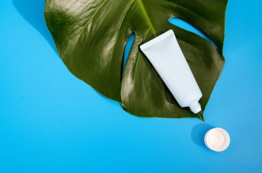 Yeşil yaprak bitkisinin üzerinde duran nemlendirici kremli mavi renkli tüp canlı mavi arka planda izole edilmiş. Yüzün ve vücudun için cilt bakımı
