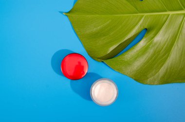 Yeşil yaprak bitkisinin üzerinde duran nemlendirici kremli mavi renkli tüp canlı mavi arka planda izole edilmiş. Yüzün ve vücudun için cilt bakımı