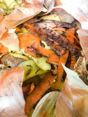 Atölyede patates, soğan ve havuç kabuğu. Mutfaktaki masanın üzerinde gübre dolu bir kase.