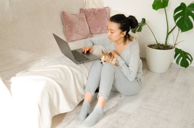 Gri gömlek ve pantolon giymiş Asyalı bir kadın. Kanepede otururken evden çalışan genç Asyalı kadın. Dizüstü bilgisayar kullanan Koreli kız. Chihuahua köpeğini tutan kız.