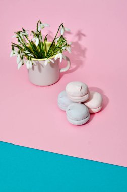 Pastel renkli marşmelov manzarası ve pastel renkli pembe arka planda kardelen çiçekli bir fincan. Minimalizm tarzı.