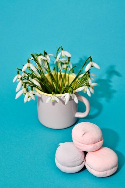 Pastel renkli marşmelov manzarası ve pastel renkli pembe arka planda kardelen çiçekli bir fincan. Minimalizm tarzı.