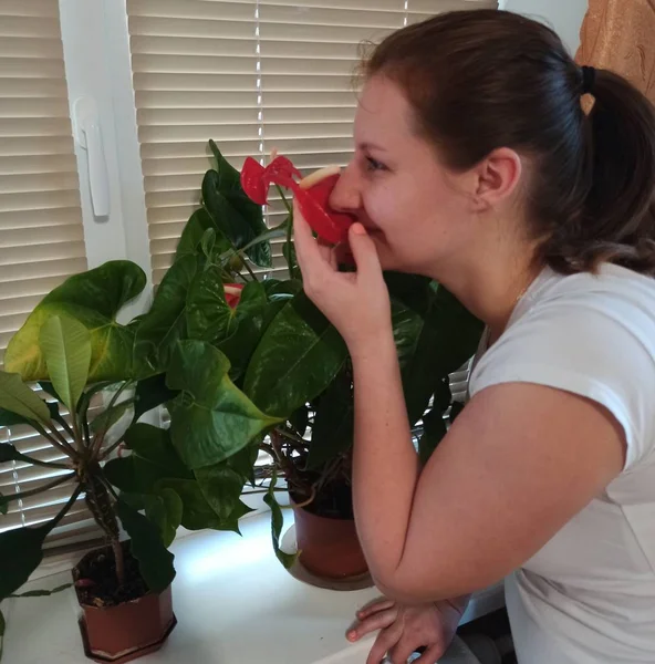 Европейская женщина нюхает цветочные растения дома — стоковое фото