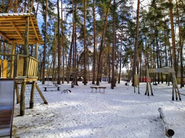 Karlı kış ormanlarında dinlenme yeri ve oyun alanı