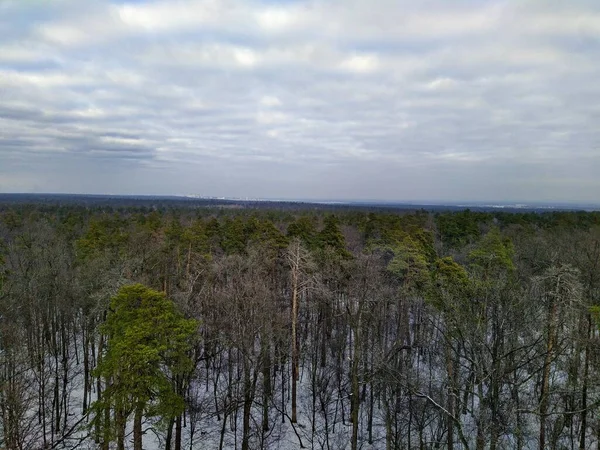 Schöne Luftaufnahme Von Verschneiten Winterwald Und Stadtbild Bei Bewölktem Tag — Stockfoto