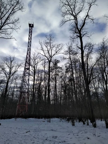 High Fire Tower Snowy Winter Forest Cloudy Day — Stock Photo, Image