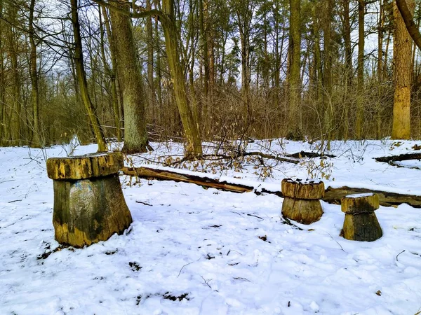안개낀 날씨에 눈덮인 숲에서 숙박하는 — 스톡 사진